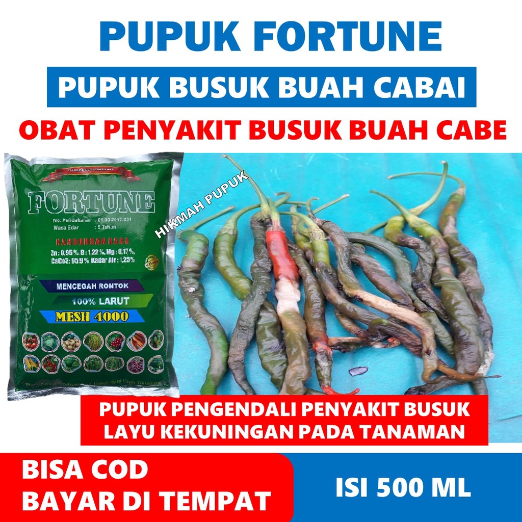 PUPUK TEPUNG FORTUNE 1 KG Obat Hama Patek Cabe, Busuk Akar, Batang dan Buah Cabe - Pupuk Semprot Ata