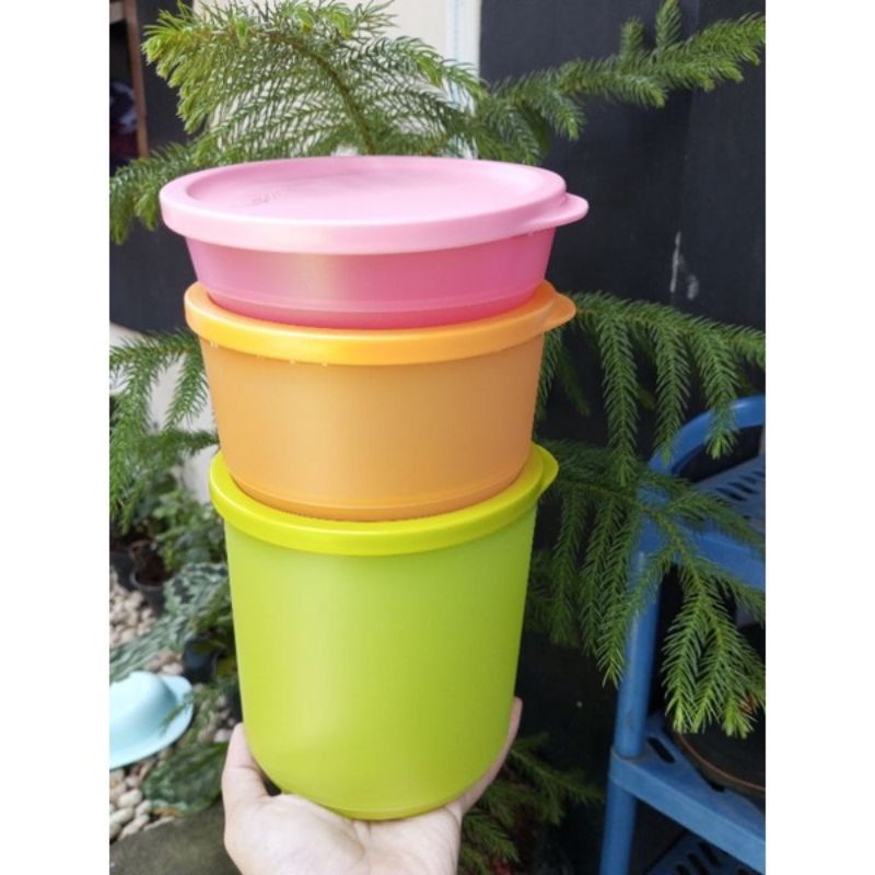 promo toples tropical tuperware set warna baru (3)