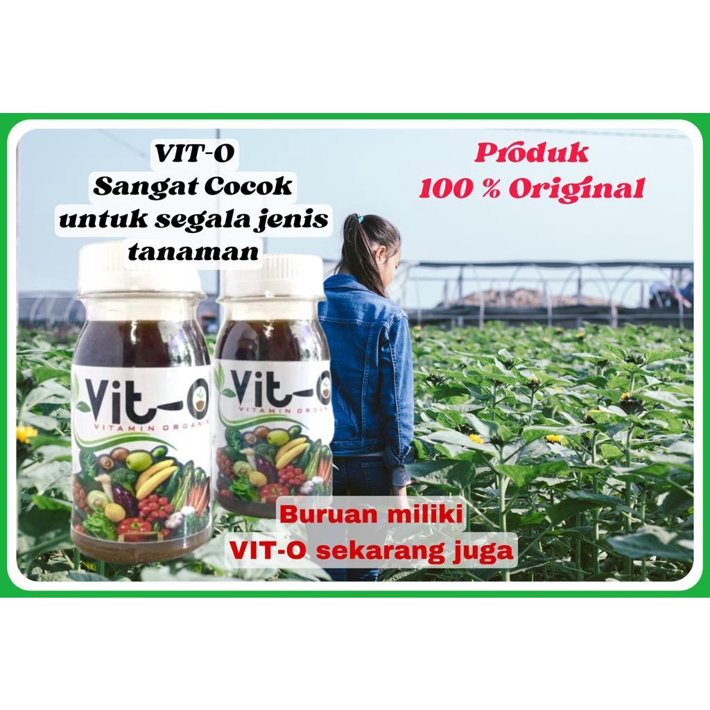 VITAMIN TANAMAN VIT-O, NUTRISI HEBAT BUAT SEGALA TANAMAN