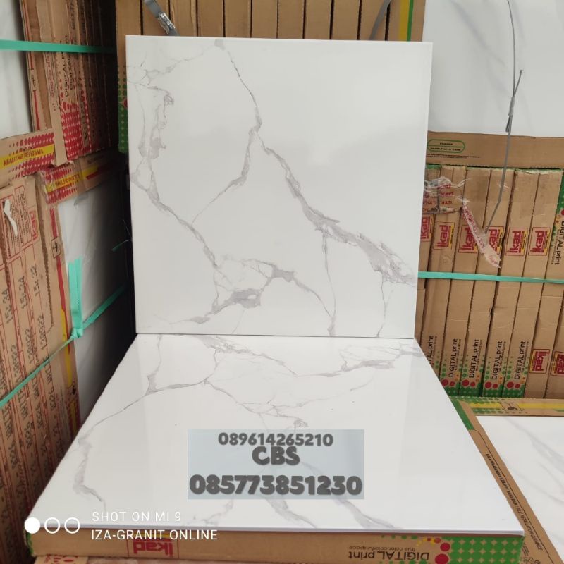 keramik 50x50 putih marbel daiva ikad