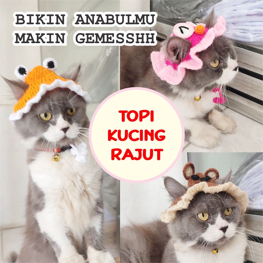 TOPI KUCING RAJUT TOPI KUCING