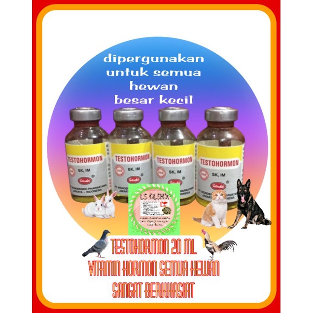 Testohormon 20ml hormon obat nafsu birahi kawin vitamin breeding ayam burung anjing kucing