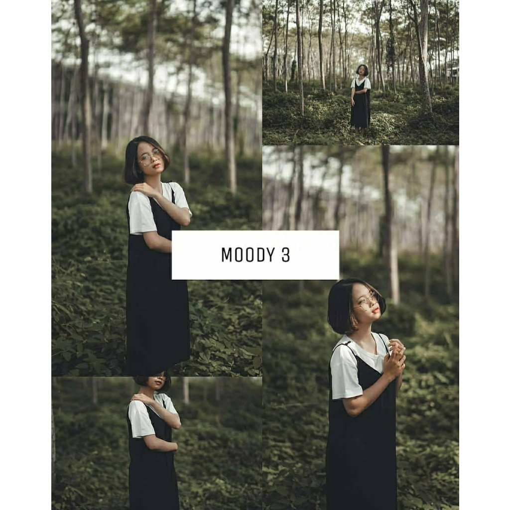PRESET LIGHTROOM PREMIUM - MOODY 3 - FOR ANDROID/IOS/PC