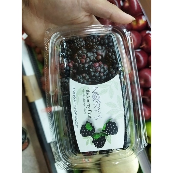 

Buah blackberry fruit super | buah blackberry lokal | pack