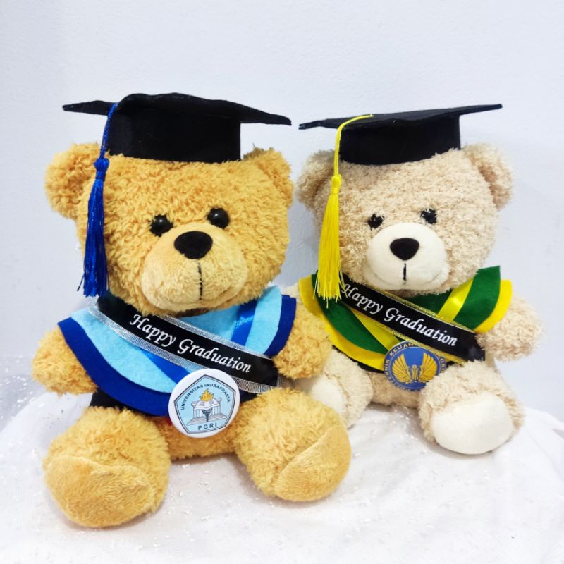 BONEKA WISUDA TEDDY BEAR 25CM PACKING KOTAK MIKA FREE KARTU UCAPAN