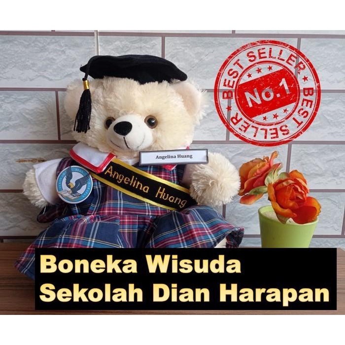 (TERBAIK) BONEKA WISUDA SEKOLAH DIAN HARAPAN BONEKA DIAN HARAPAN