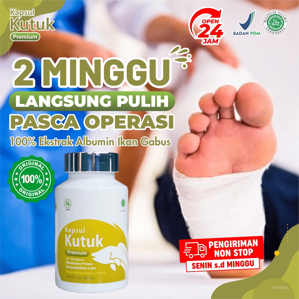 Ready Paket 3 Kapsul Kutuk - Luka Pasca Operasi Hernia Usus Wasir 5x Lebih Cepat Sembuh &amp; Kering Asi Booster Penambah Albumin Tingkatkan Daya Tahan Tubuh Isi 60 Kapsul