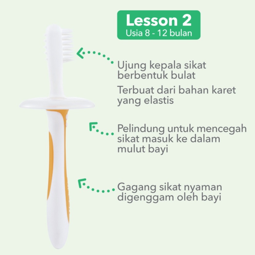 PIGEON TRAINING TOOTHBRUSH LESSON 123 SET MIX