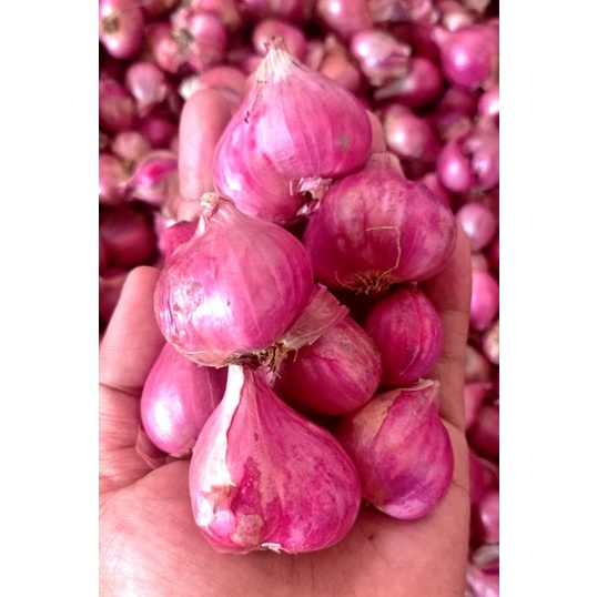 

bawang merah lokal 1kg