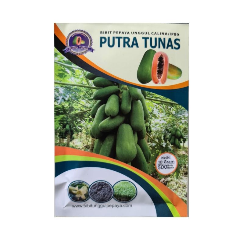 Benih Pepaya California Bibit Pepaya Calina 9 California