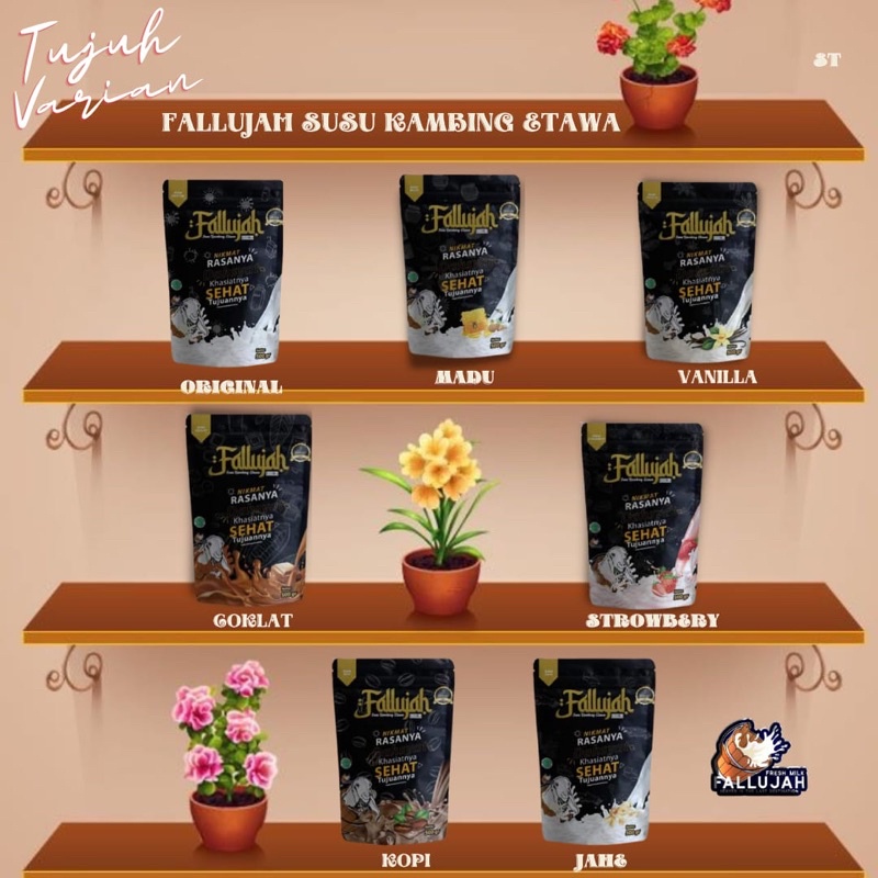 

Susu kambing Fallujah anti prengus