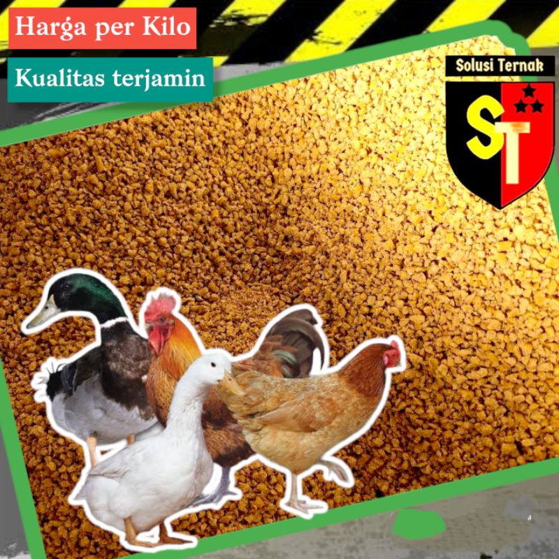 Pur 521 Voer Ayam Dewasa Makanan Ayam Jago Buras 1 Kg