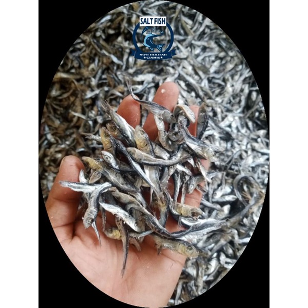 

PROMO Ikan Asin Lemet Kering : 100g/250g