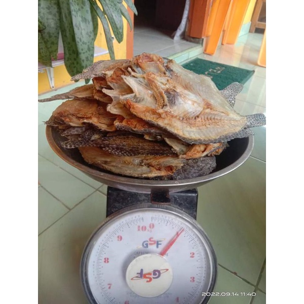 

Ikan sunu asin asli Selayar 1kg