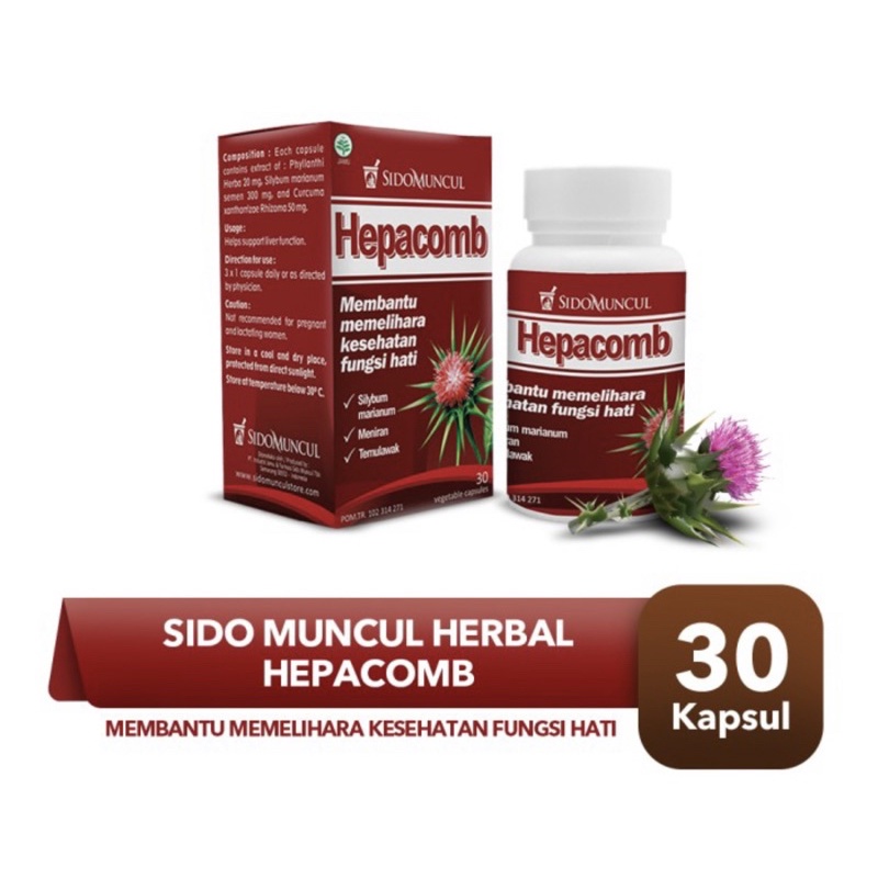 Sidomuncul Hepacomb kemasan botol isi 30 kapsul (membantu memelihara kesehatan hati)