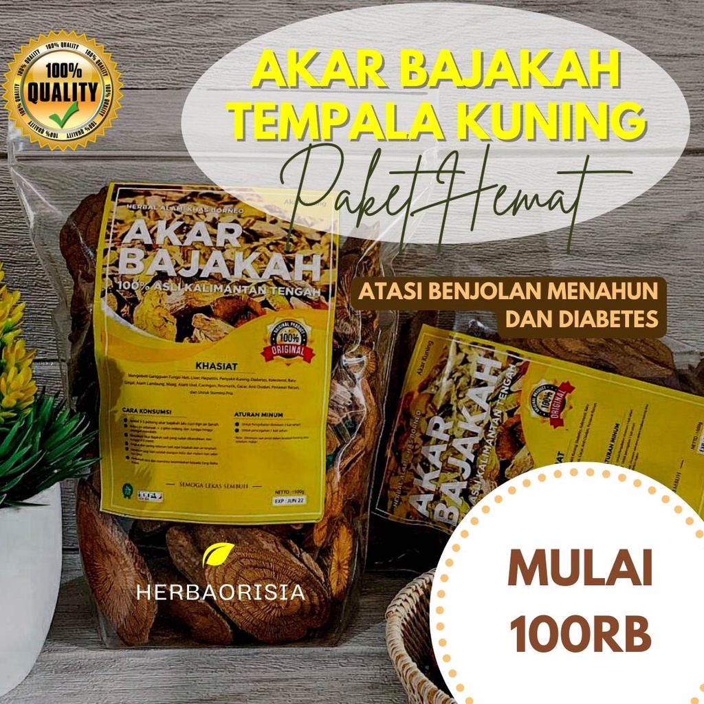 

akar kayu bajakah asli kalimantan 2 kg tempala kuning