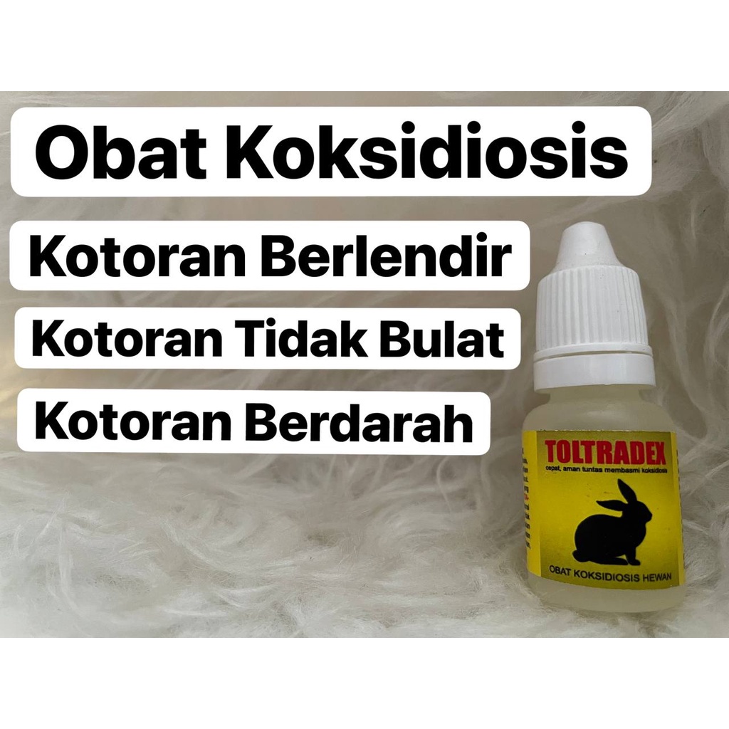 Toltradex Obat koksidiosis Kelinci Kotoran Lembek Kotoran Berlendir