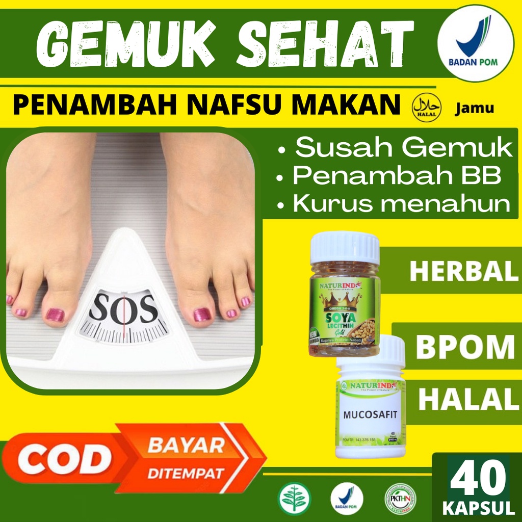 Obat Gemuk Permanen Penggemuk badan Herbal BPOM Penambah Berat Badan Susah Gemuk