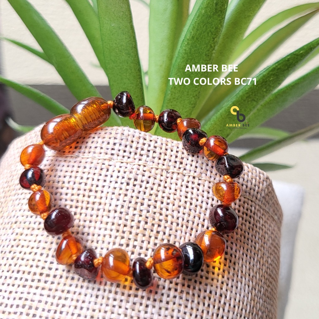 Gelang Amber Baltic New Born &amp; Anak Premium Glossy Cherry Cognac BGCC71 By Amber Bee