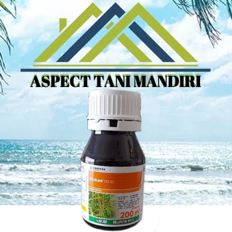Insektisida ENDURE 120sc (200ml)