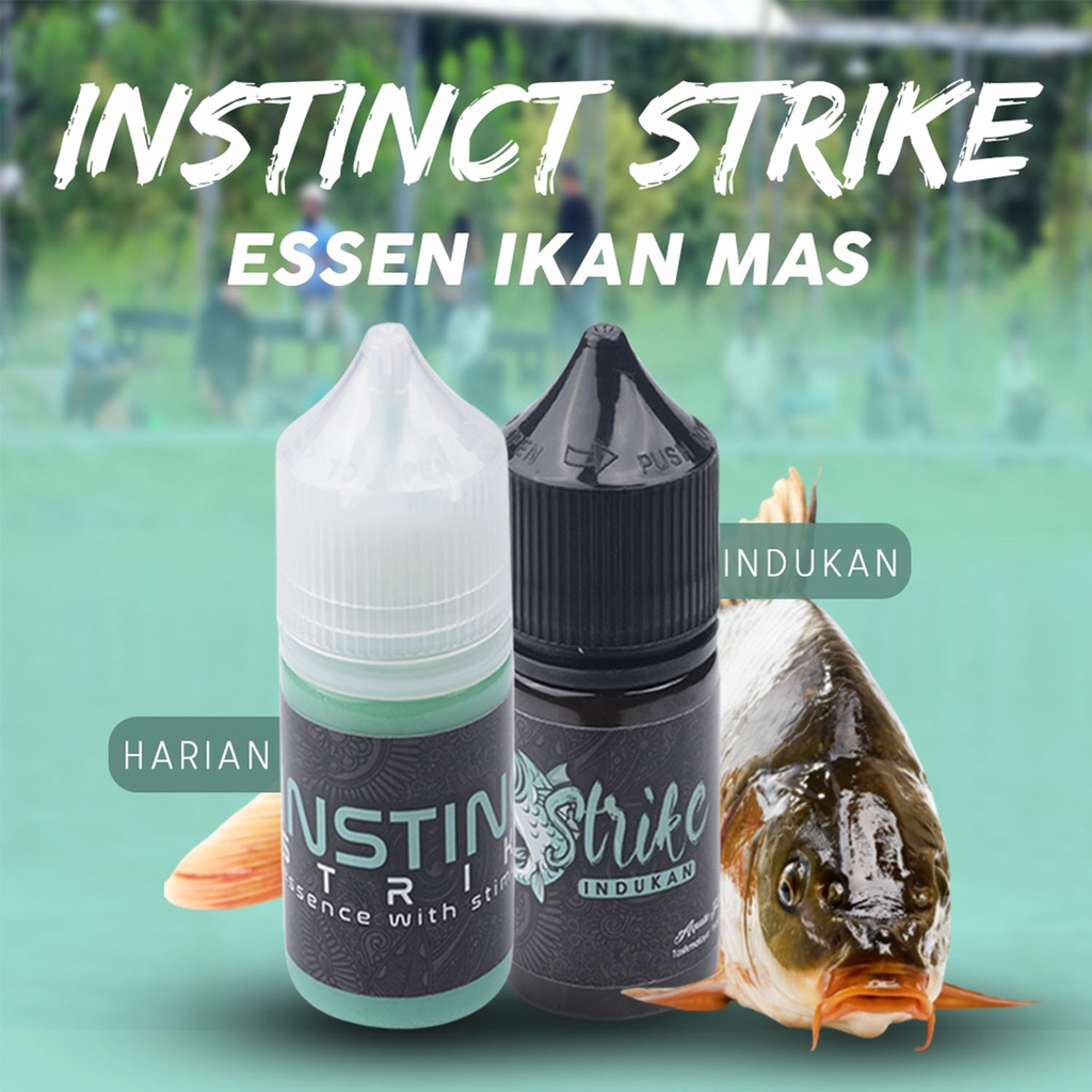 Jual Essen Khusus Mancing Ikan Mas Instinct Strike Cocok Di Segala Medan Terlaris Bebas Media