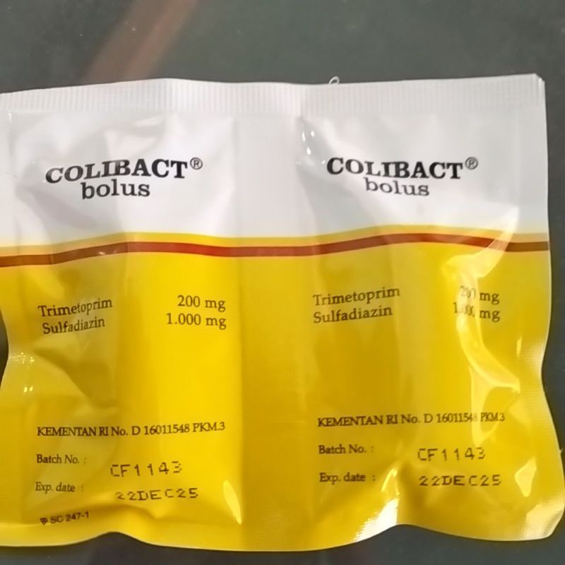 COLIBACT BOLUS - ecer 1 Bolus