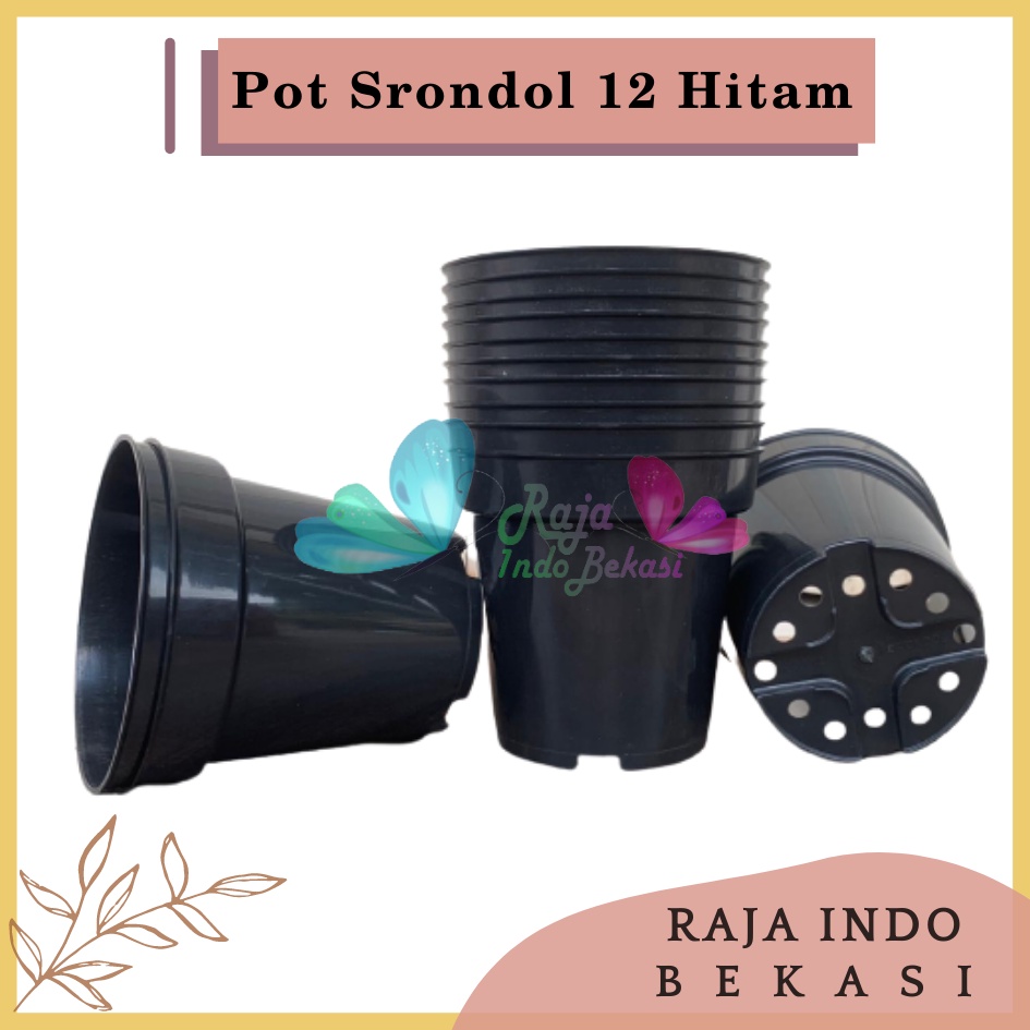 Pot Bunga Hitam Tinggi 20 cm 15 cm 17 cm Termurah se-Indonesia Rajaindobekasi