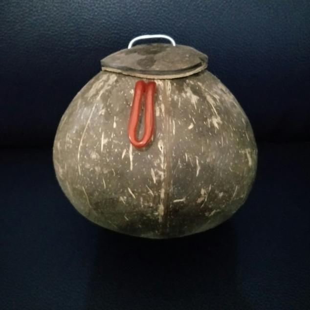 glodok lovebird/glodokan lovebird/glodok burung lovebird/batok kelapa