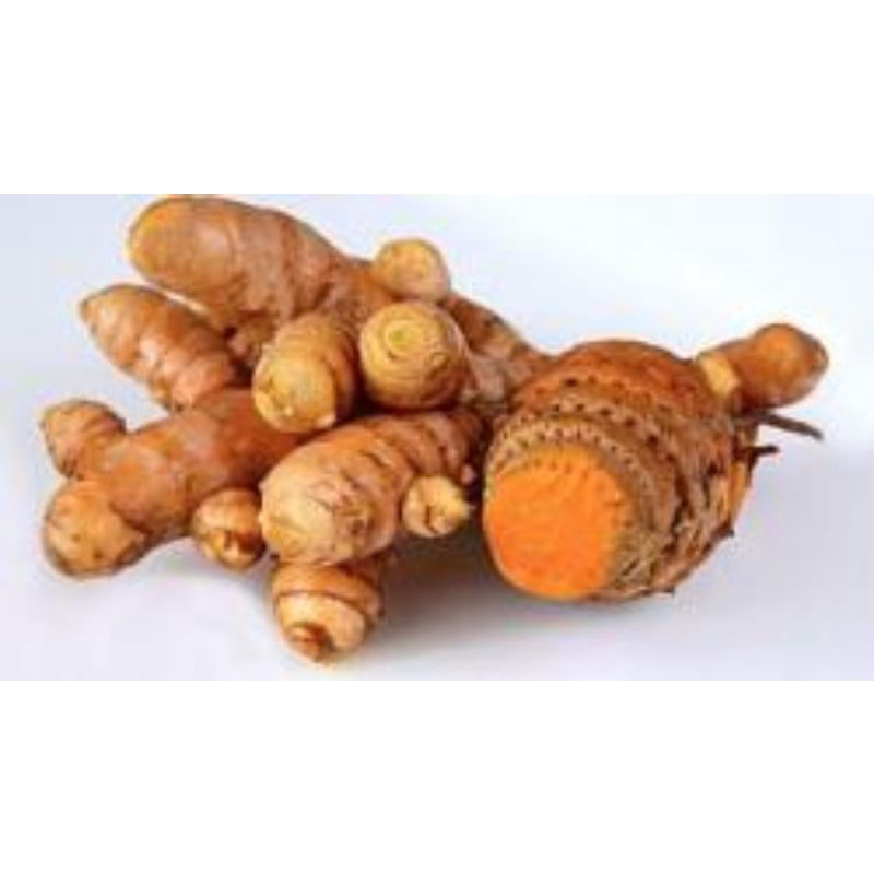 

kunyit segar 1 kg