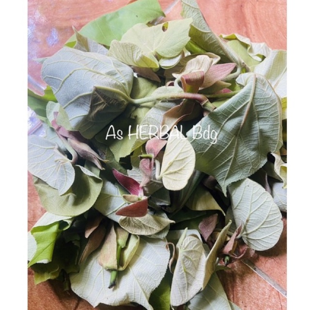 

Daun waru muda / pucuk daun waru segar 400 gram-az
