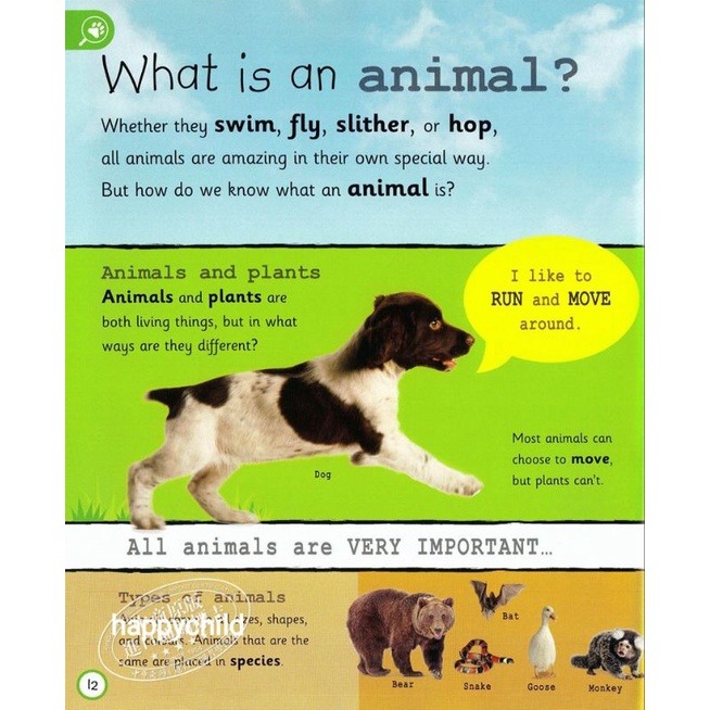 original DK My Encyclopedia of very important animals buku anak buku bacaan happychild