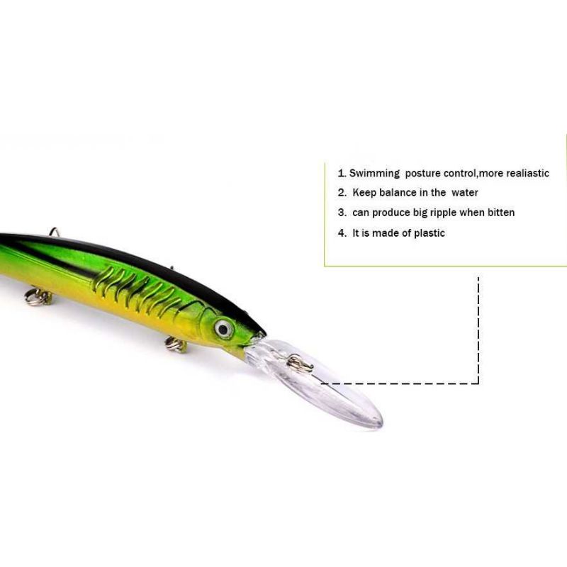 Proberos Kail Pancing Model Ikan