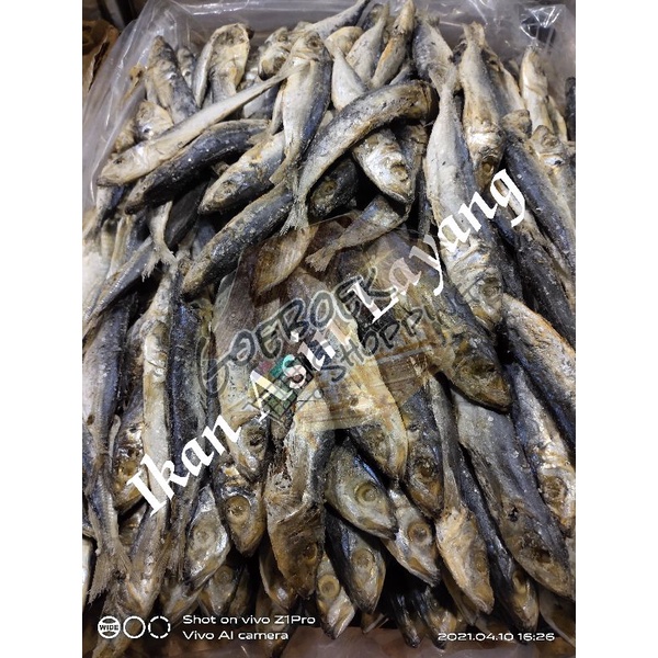 

Ikan Asin Japuh Layang