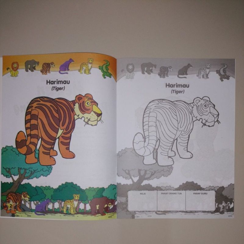 buku mewarnai anak 16 halaman full colour 20x29cm