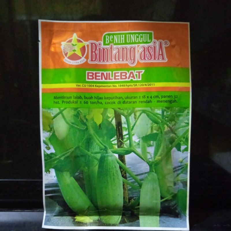 Benih Mentimun Benlebat 20 gram