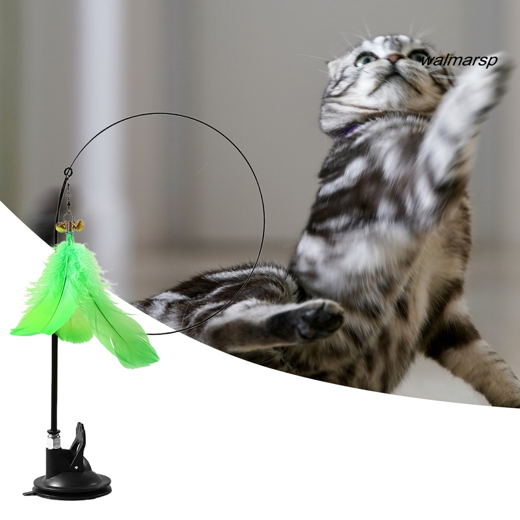 Walmarsp Mainan Tongkat Penggoda Kucing Dengan Suction Cup