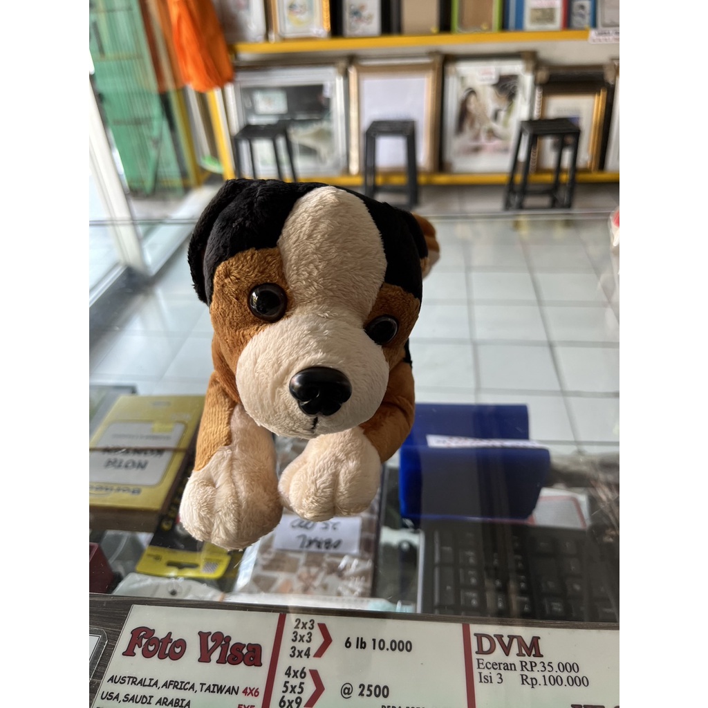 BONEKA ANJING COKLAT BONEKA ANJING MINI BONEKA ANJING WARNA MERAH HITAM KECIL BONEKA MAINAN