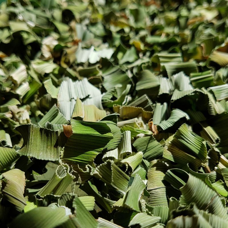

Pandan wangi/Pandan kering/teh pandan/pandanusa