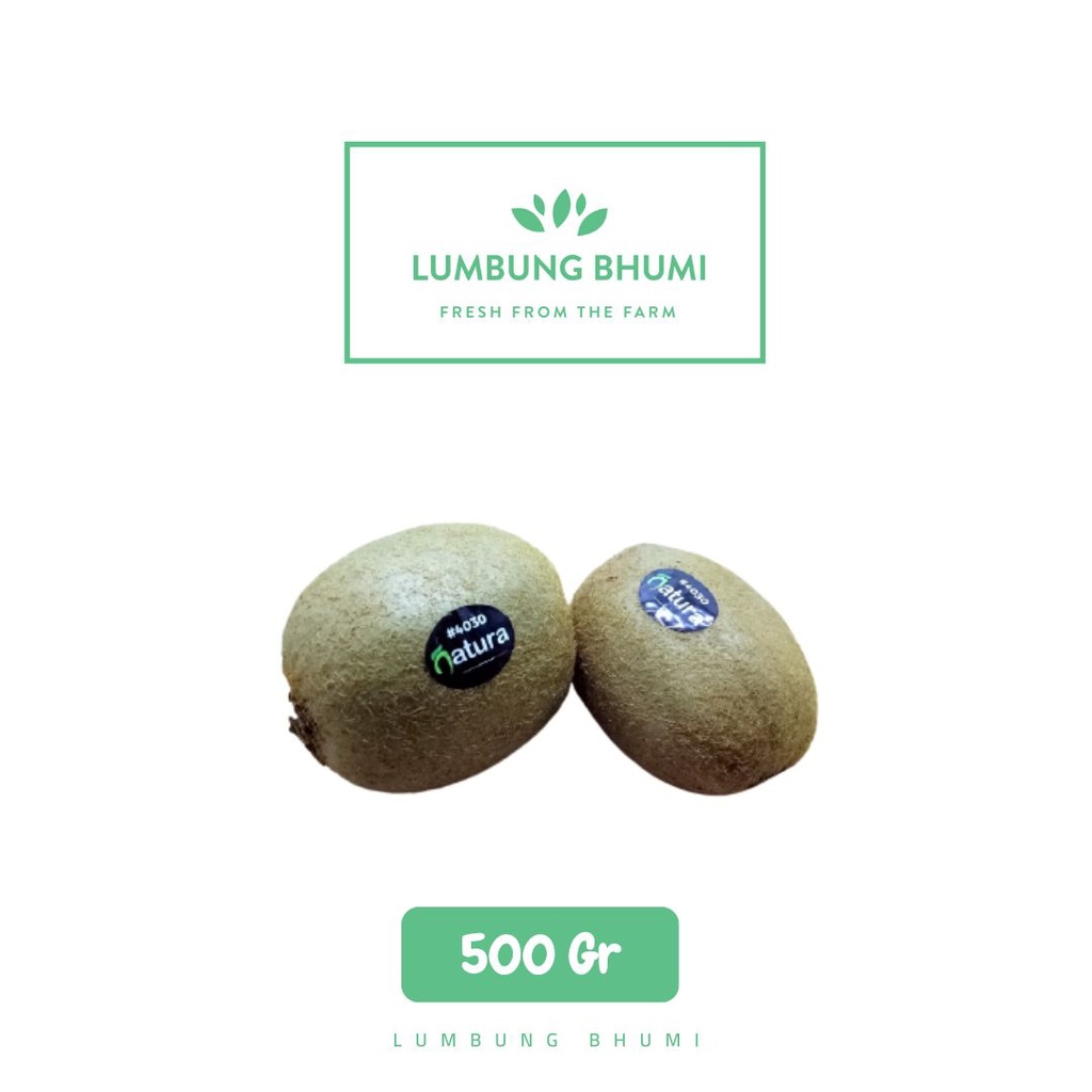 

Lumbung Bhumi - Kiwi Hijau 500 Gr ( Buah Curah )