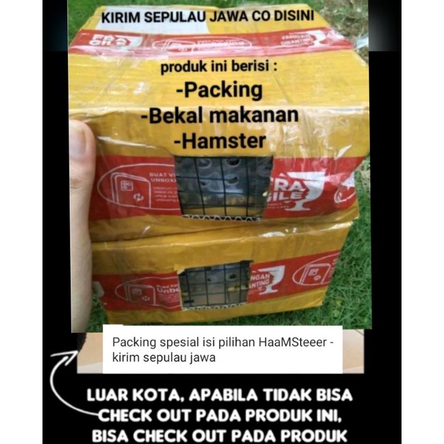 Hamster camble panda-Kirim sejawa barat