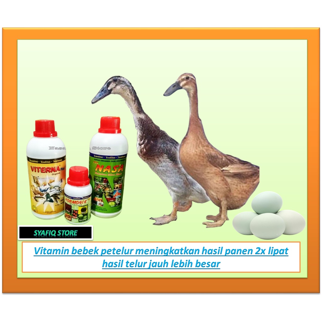 Viterna 500 cc Vitamin Penggemuk Bebek Petelur / Vitamin Bebek Petelur meningkatkan kualitas telur b