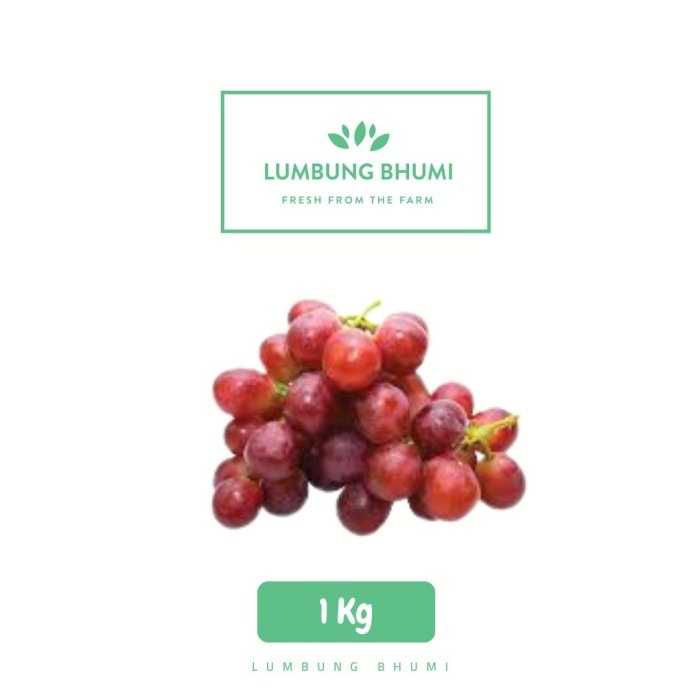 

Lumbung Bhumi - Anggur Ungu Red Globe 1 Kg ( Buah Curah )