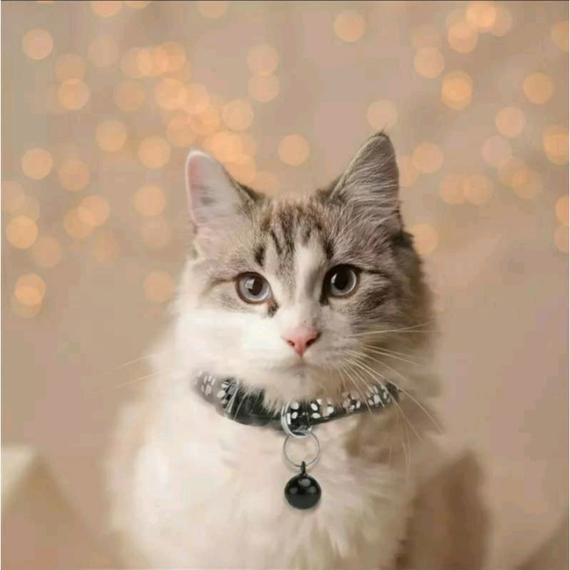 PET COLLAR KALUNG LONCENG KUCING, KALUNG ANJING KALUNG KELINCI KALUNG HEWAN PELIHARAAN CAT DOG COLLAR