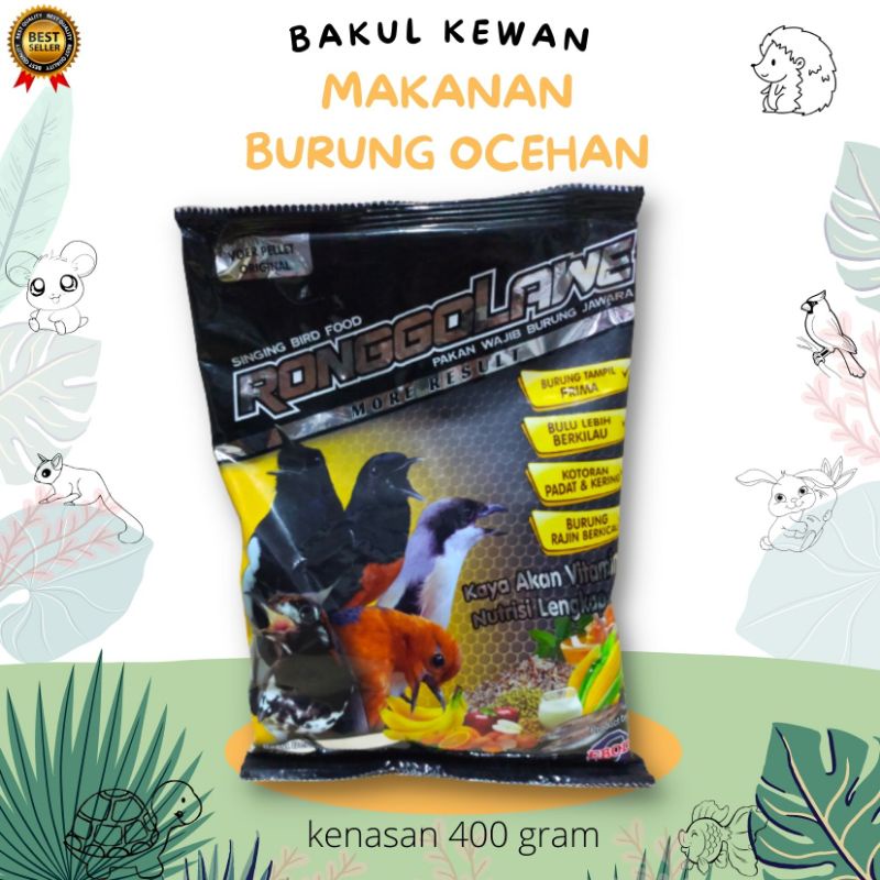 ronggolawe voer pelet original makanan burung pentet kacer murai anis
