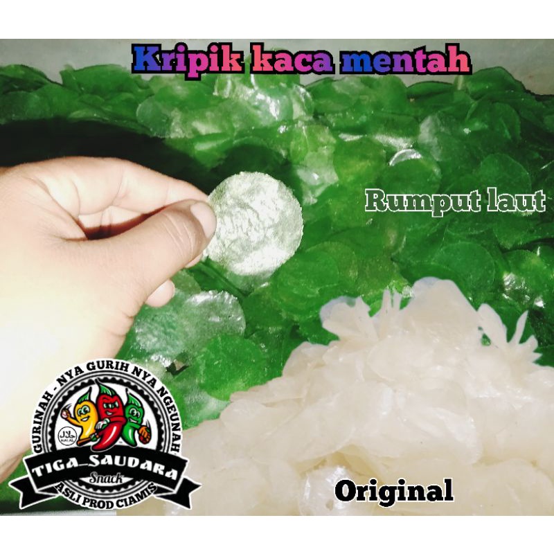 

kripik kaca mentah 1kg bahan siap di olah / babanggi TERMURAH