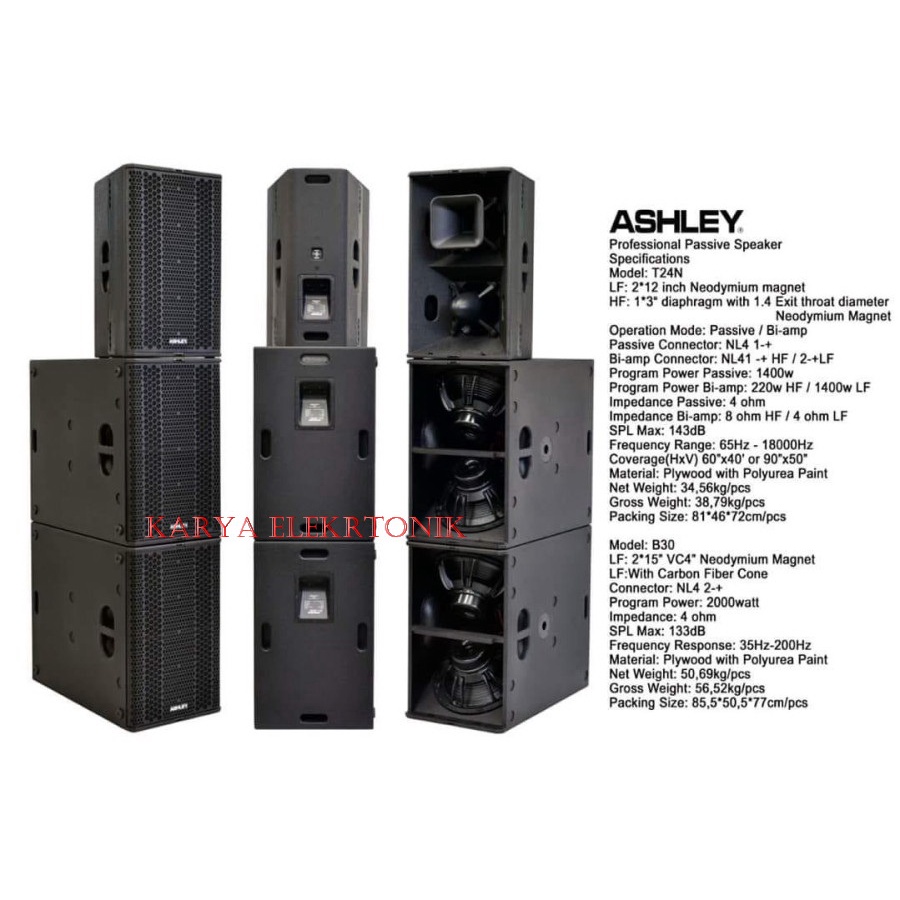 SPEAKER PASIF ASHLEY T24N T 24N T 24 N 2X12 NEODYMIUM MAGNET