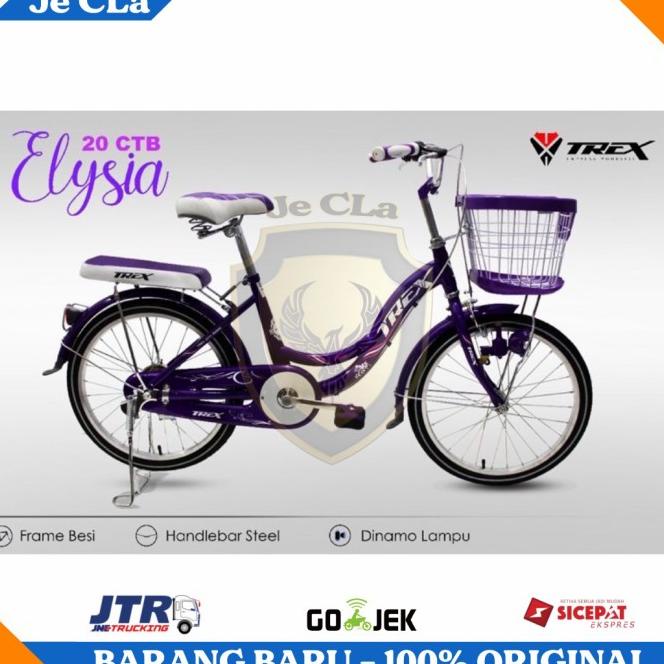 Sepeda Mini Keranjang Anak Remaja Dewasa Ctb 20 Trex Elysia