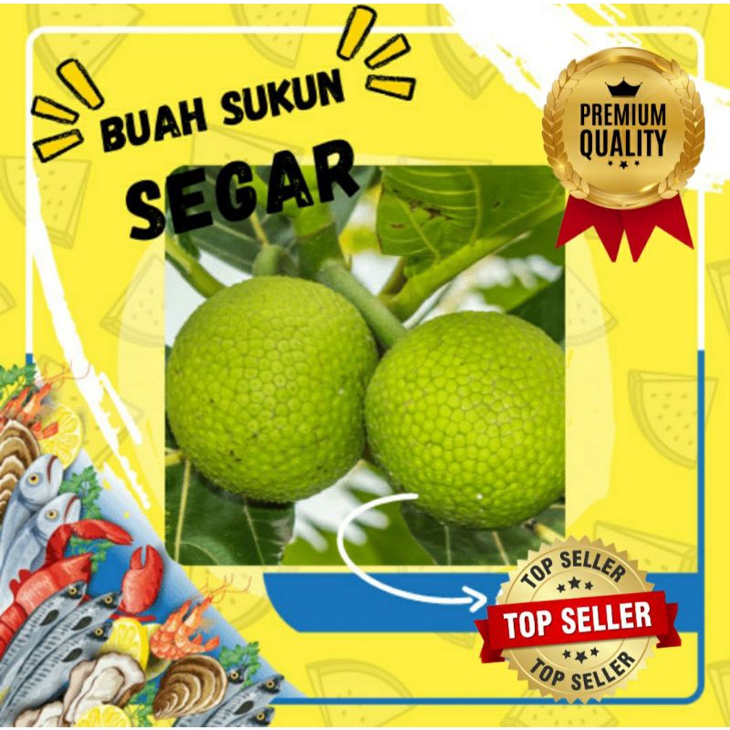 

BUAH SUKUN SEGAR ORGANIK 1000 GRAM (PREMIUM QUALITY)