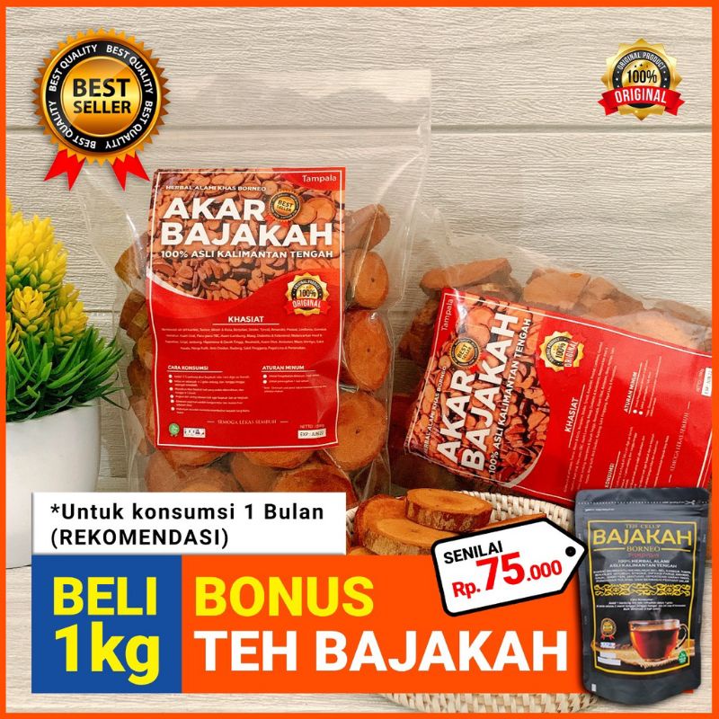 

Beli 1 kg akar bajakah dapat bonus teh bajakah lebih hemat