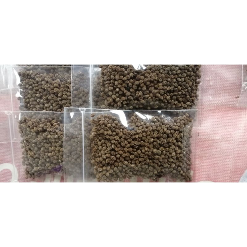 pepaya thailand/bangkok